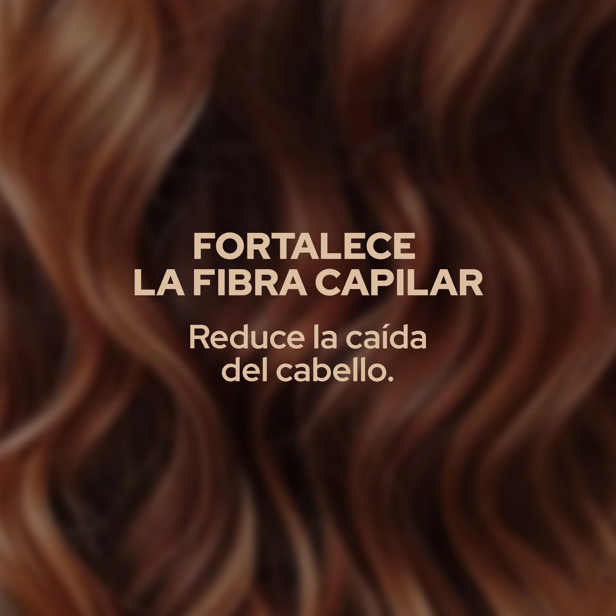 SHAMPOO CON ROMERO ANYELUZ - Image 3